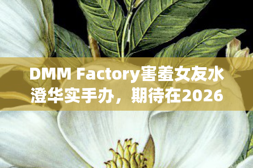 DMM Factory害羞女友水澄华实手办，期待在2026年的相遇