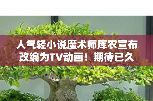人气轻小说魔术师库农宣布改编为TV动画！期待已久的新篇章即将开启！