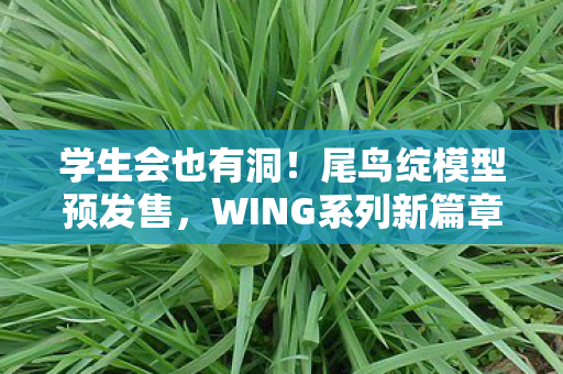 学生会也有洞！尾鸟绽模型预发售，WING系列新篇章开启