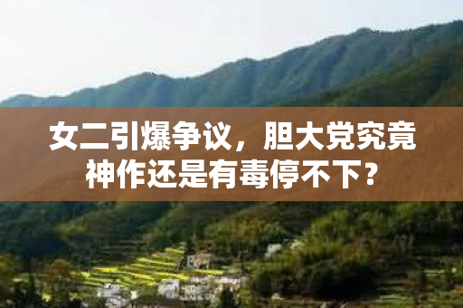 女二引爆争议，胆大党究竟神作还是有毒停不下？