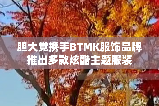 胆大党携手BTMK服饰品牌推出多款炫酷主题服装