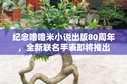 纪念噜噜米小说出版80周年，全新联名手表即将推出