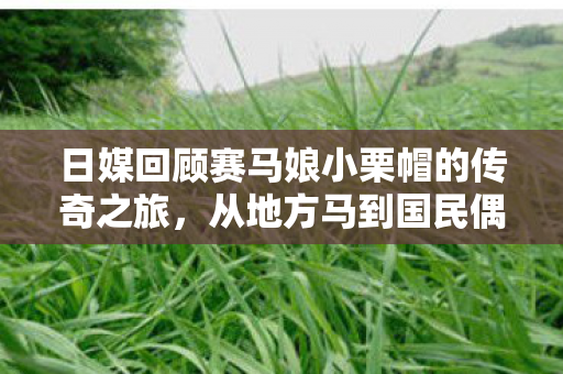 日媒回顾赛马娘小栗帽的传奇之旅，从地方马到国民偶像的辉煌之路！
