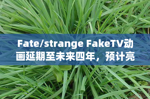 Fate/strange FakeTV动画延期至未来四年，预计亮相于2026年