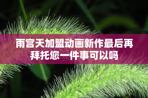 雨宫天加盟动画新作最后再拜托您一件事可以吗