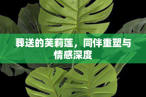 葬送的芙莉莲，同伴重塑与情感深度