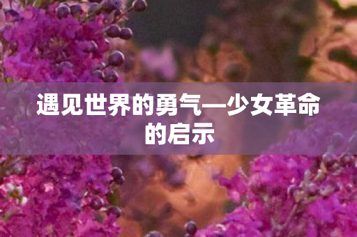 遇见世界的勇气—少女革命的启示