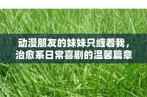 动漫朋友的妹妹只缠着我，治愈系日常喜剧的温馨篇章