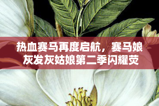 热血赛马再度启航，赛马娘 灰发灰姑娘第二季闪耀荧屏