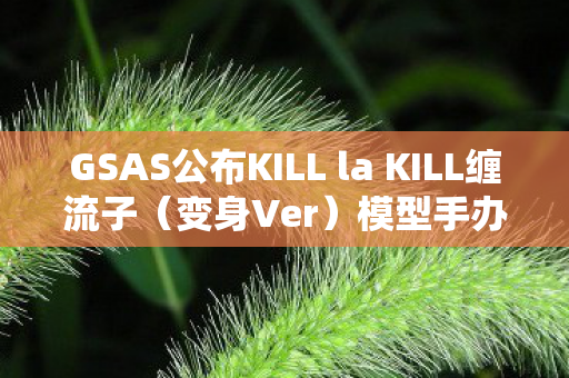 GSAS公布KILL la KILL缠流子（变身Ver）模型手办全新资讯