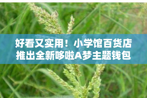 好看又实用！小学馆百货店推出全新哆啦A梦主题钱包