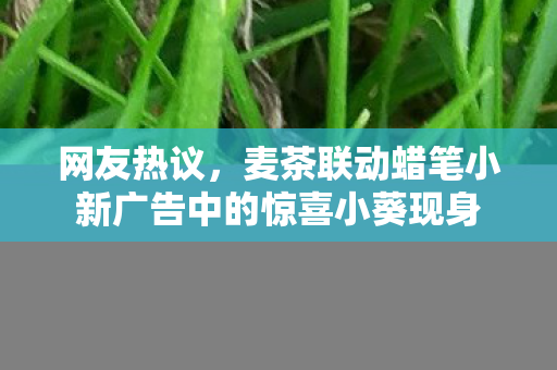 网友热议，麦茶联动蜡笔小新广告中的惊喜小葵现身