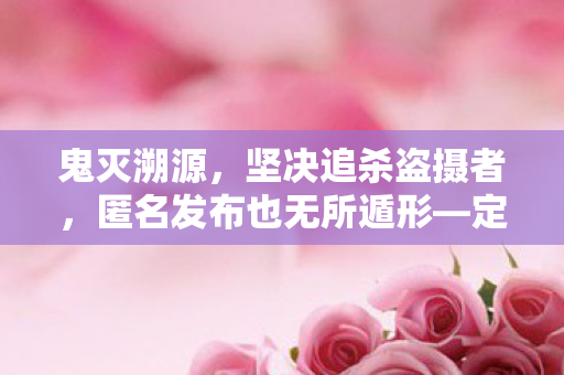 鬼灭溯源，坚决追杀盗摄者，匿名发布也无所遁形—定位与起诉不容小觑