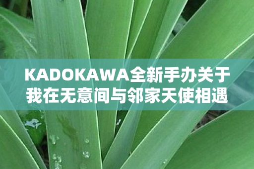KADOKAWA全新手办关于我在无意间与邻家天使相遇