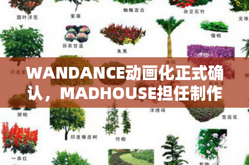 WANDANCE动画化正式确认，MADHOUSE担任制作重任