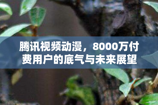 腾讯视频动漫，8000万付费用户的底气与未来展望