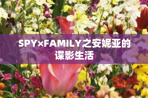 SPY×FAMILY之安妮亚的谍影生活