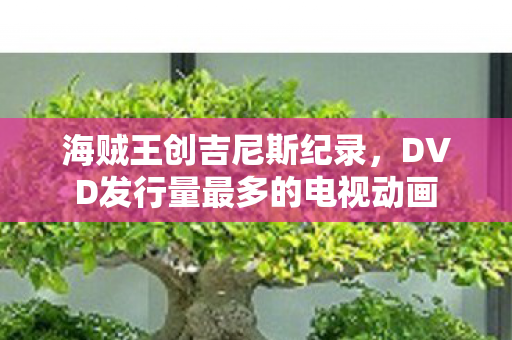 海贼王创吉尼斯纪录，DVD发行量最多的电视动画