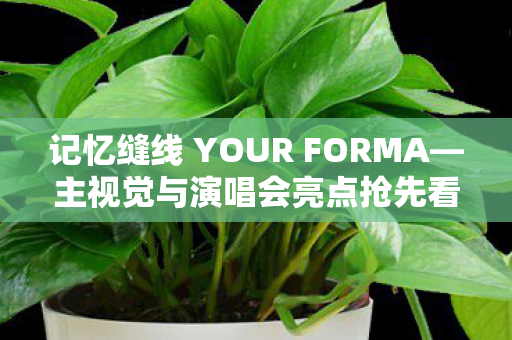 记忆缝线 YOUR FORMA—主视觉与演唱会亮点抢先看