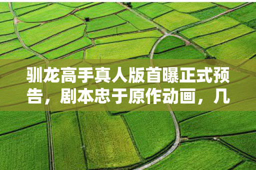 驯龙高手真人版首曝正式预告，剧本忠于原作动画，几乎一致呈现