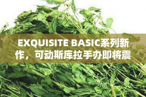 EXQUISITE BASIC系列新作，可动斯库拉手办即将震撼登场