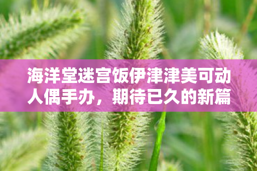 海洋堂迷宫饭伊津津美可动人偶手办，期待已久的新篇章即将来临