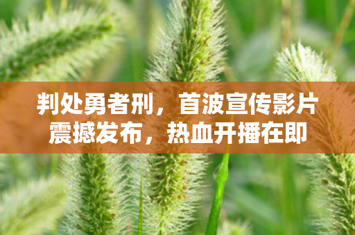 判处勇者刑，首波宣传影片震撼发布，热血开播在即