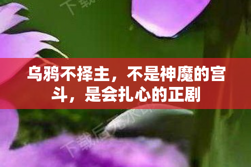 乌鸦不择主，不是神魔的宫斗，是会扎心的正剧