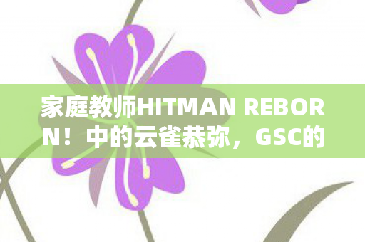 家庭教师HITMAN REBORN！中的云雀恭弥，GSC的新动作