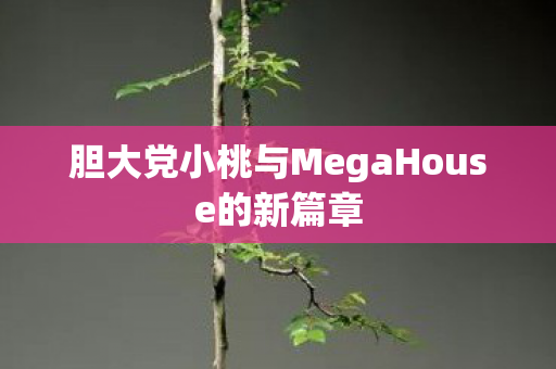 胆大党小桃与MegaHouse的新篇章