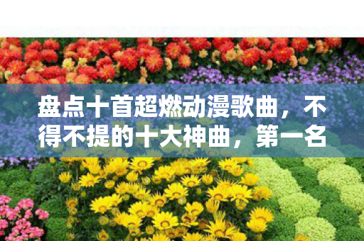 盘点十首超燃动漫歌曲，不得不提的十大神曲，第一名旋律太洗脑了！