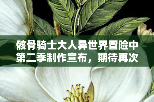 骸骨骑士大人异世界冒险中第二季制作宣布，期待再次启程奇幻之旅