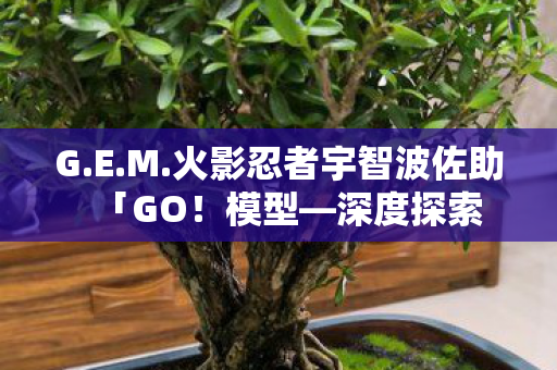 G.E.M.火影忍者宇智波佐助「GO！模型—深度探索