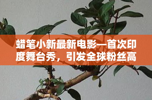 蜡笔小新最新电影—首次印度舞台秀，引发全球粉丝高度期待