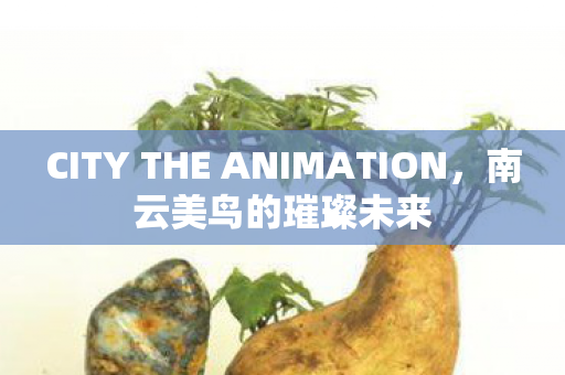 CITY THE ANIMATION，南云美鸟的璀璨未来