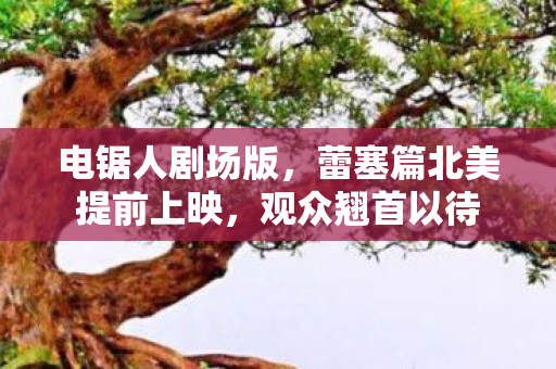 电锯人剧场版，蕾塞篇北美提前上映，观众翘首以待