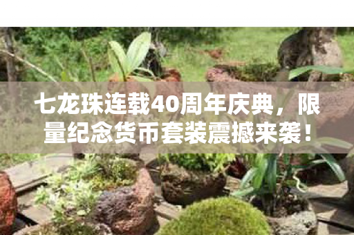 七龙珠连载40周年庆典，限量纪念货币套装震撼来袭！