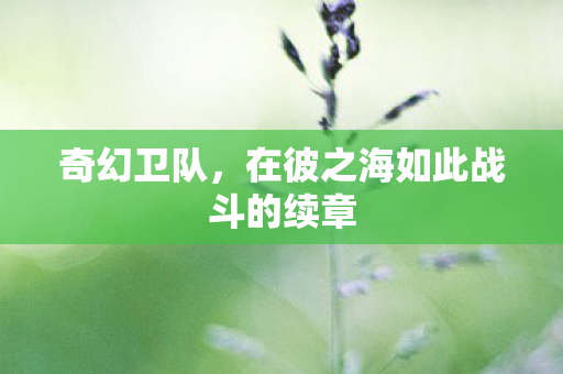 奇幻卫队，在彼之海如此战斗的续章