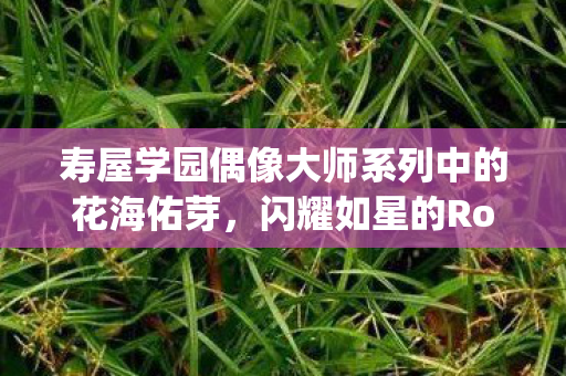 寿屋学园偶像大师系列中的花海佑芽，闪耀如星的Rolling Riceball之旅