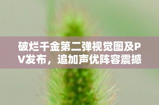 破烂千金第二弹视觉图及PV发布，追加声优阵容震撼亮相！