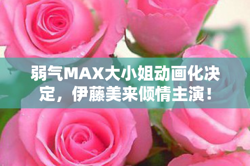 弱气MAX大小姐动画化决定，伊藤美来倾情主演！