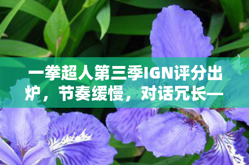 一拳超人第三季IGN评分出炉，节奏缓慢，对话冗长—深度解析