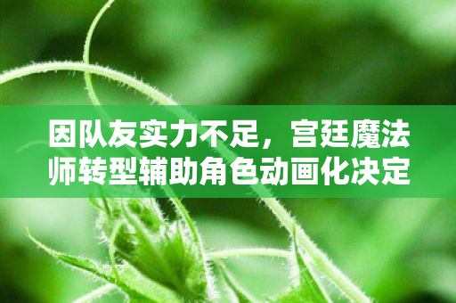 因队友实力不足，宫廷魔法师转型辅助角色动画化决定揭晓！