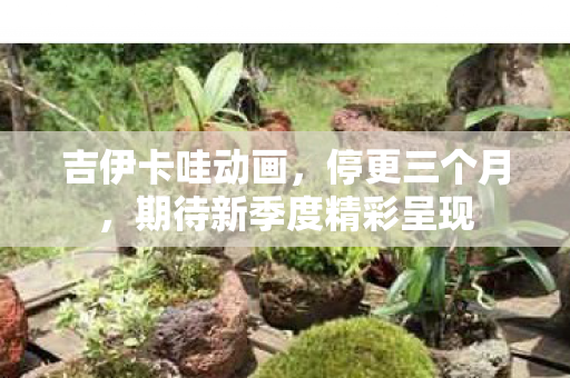 吉伊卡哇动画，停更三个月，期待新季度精彩呈现
