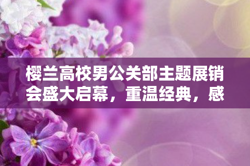 樱兰高校男公关部主题展销会盛大启幕，重温经典，感受魅力瞬间