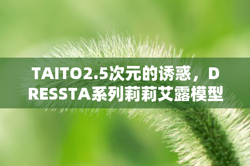 TAITO2.5次元的诱惑，DRESSTA系列莉莉艾露模型的魅力解析