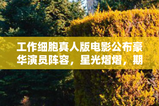 工作细胞真人版电影公布豪华演员阵容，星光熠熠，期待无限