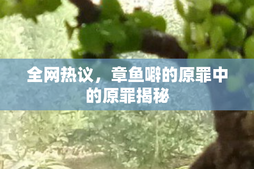 全网热议，章鱼噼的原罪中的原罪揭秘