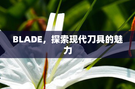 BLADE，探索现代刀具的魅力