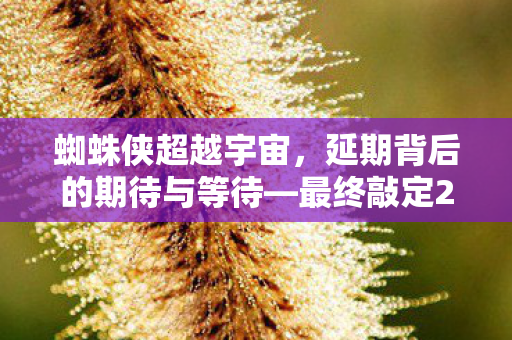 蜘蛛侠超越宇宙，延期背后的期待与等待—最终敲定2027年2月上映